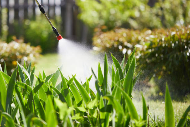 Tamper-Resistant Bait Stations for Rodents in Bertram