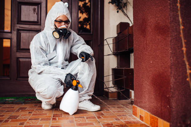 Attic and Crawl Space Rodent Treatment in Bertram